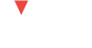 VIS Volunteers